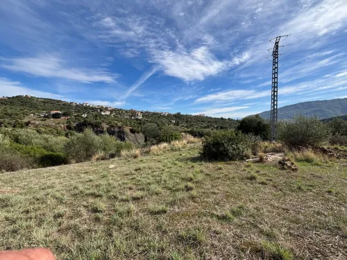 Vente Terrain Tizi Ouzou Boudjima