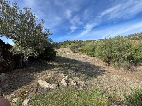 Vente Terrain Tizi Ouzou Boudjima