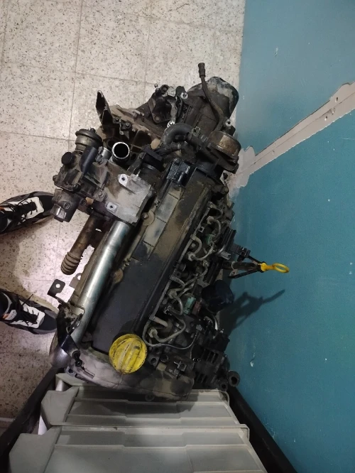 Motor kangoo