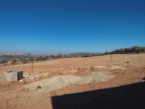 Vente Terrain Tlemcen Tlemcen