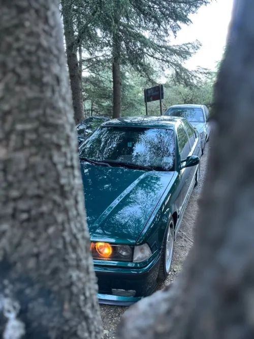 BMW Série 3 1995 E36