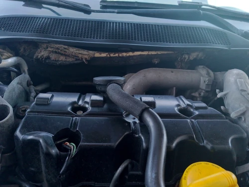 Alfa Romeo Migan biri 2006 Rono