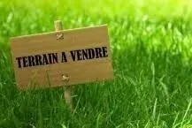 Vente Terrain Tlemcen Marsa ben mhidi