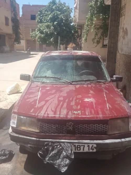 Peugeot 309 1987 309