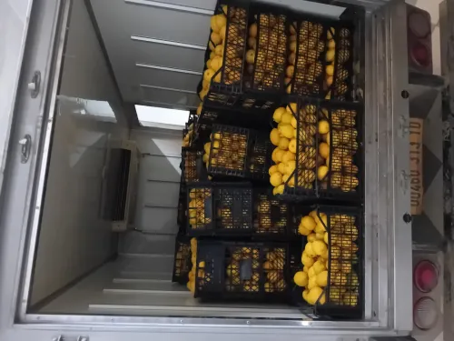 Citron 