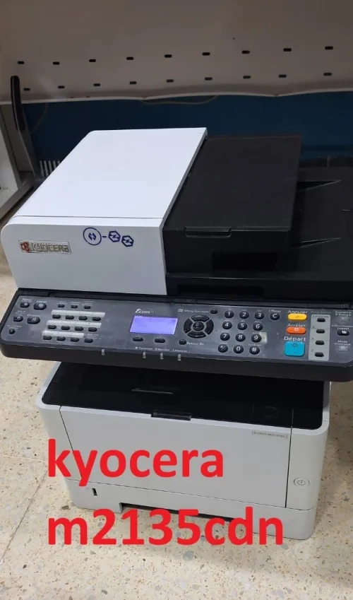 أم البواقي