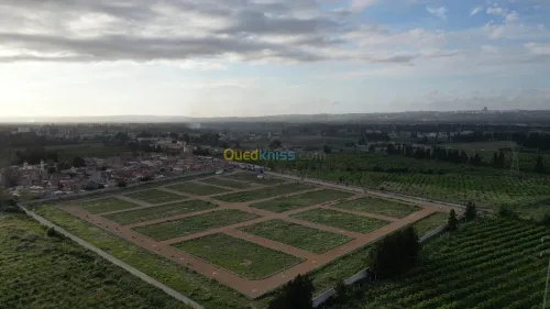 Vente Terrain Blida Beni tamou