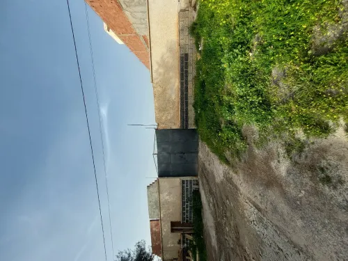 Vente Terrain Sidi Bel Abbès Sidi bel abbes