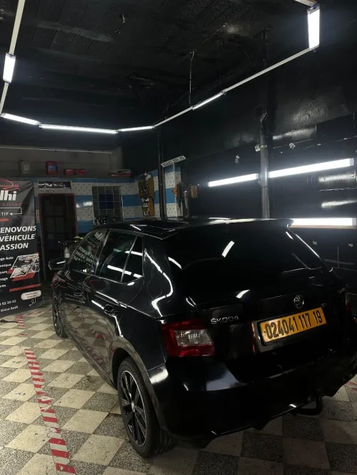 Skoda Fabia 2017 Monte Carlo