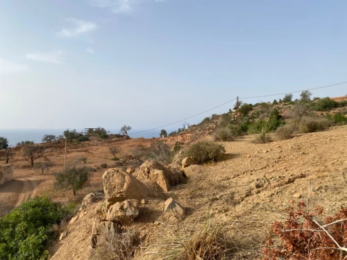 Vente Terrain Tlemcen Ghazaouet