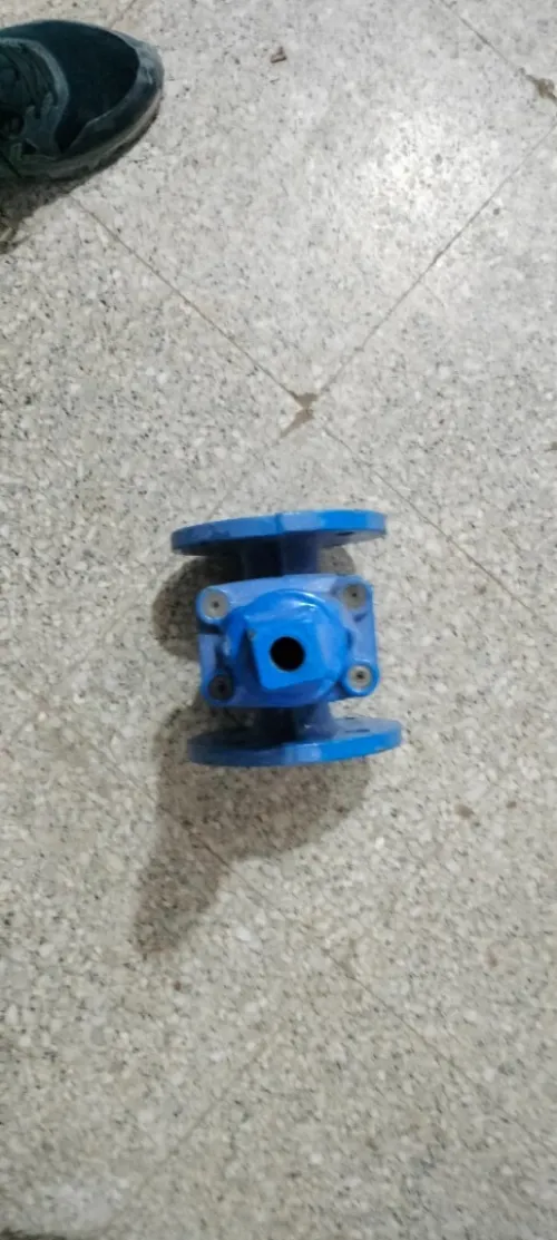Pumpe immergée 
