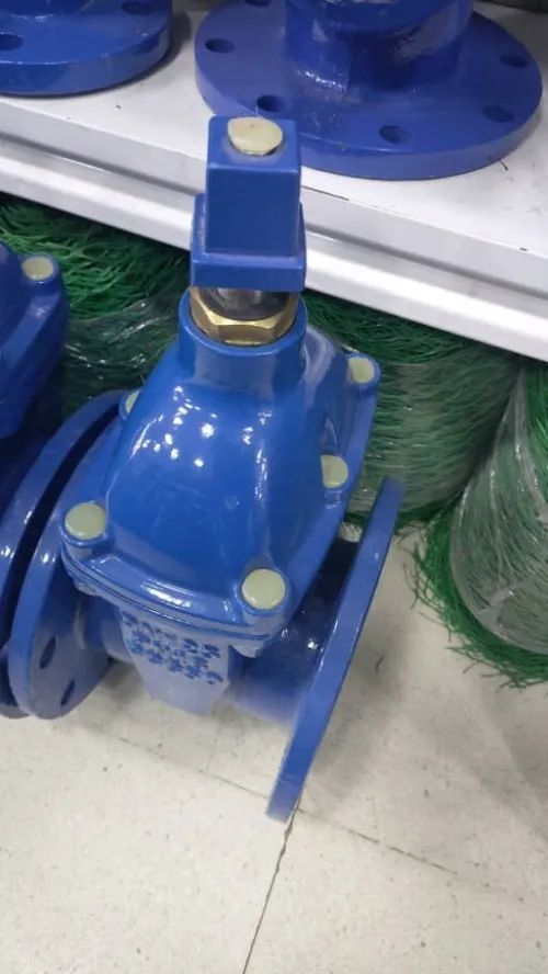 Pumpe immergée 