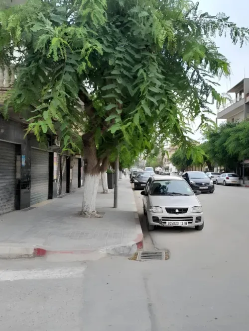 Vente Appartement F2 Alger Bordj el bahri