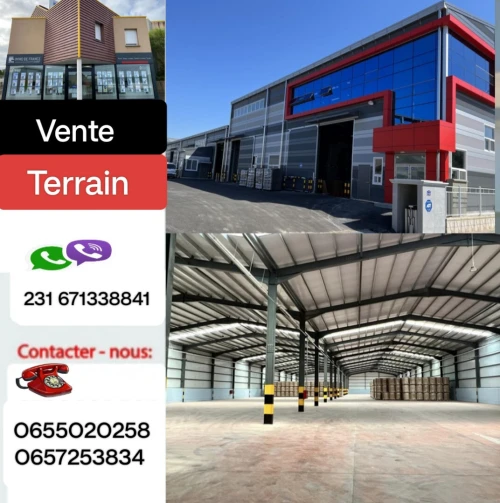 Vente Terrain Aïn Defla Boumedfaa