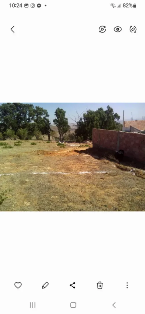 Vente Terrain Mostaganem Sidi ali