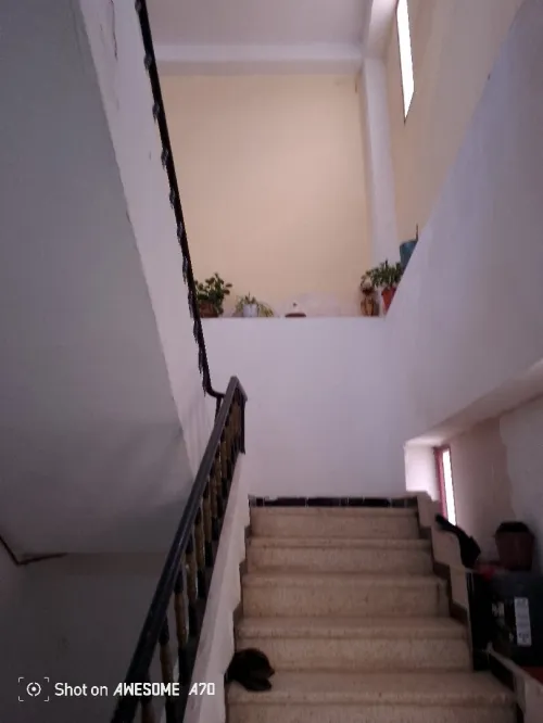 Vente Villa Alger Bouzareah