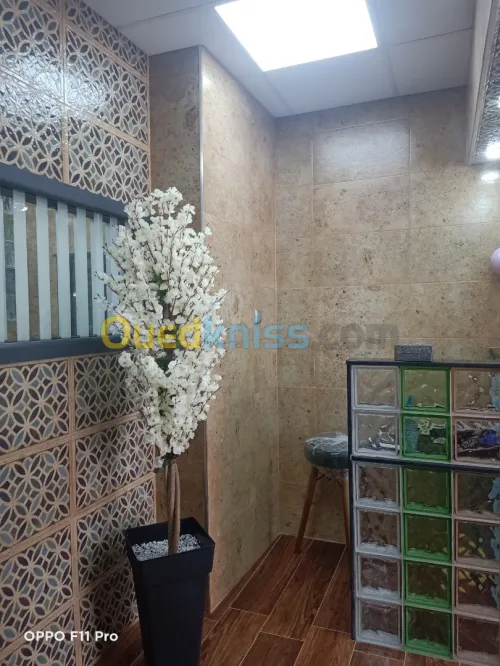Clinique vétérinaire clyvet à birtouta  المصحة البيطرية أمم أمثالكم