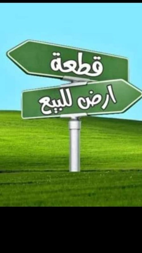Vente Terrain Alger Oued smar