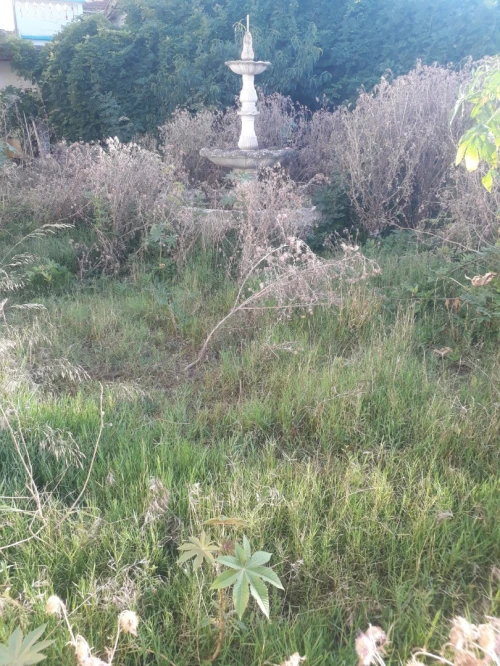 Vente Villa Alger Oued smar