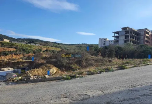 Vente Terrain Skikda Hamadi krouma