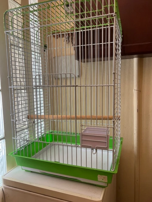 Cage perroquet