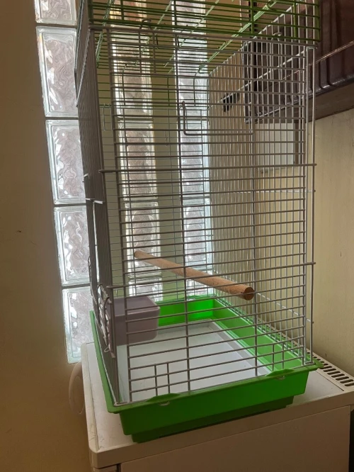 Cage perroquet