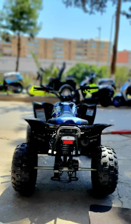 VMS Raptor 2026