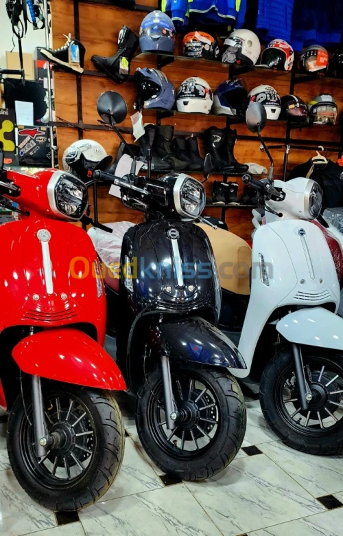VMS VMS PANAREA 2023