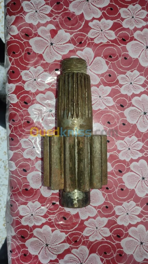 بنيو Pigno 4 pilare babot 12 darssa  D4,D6