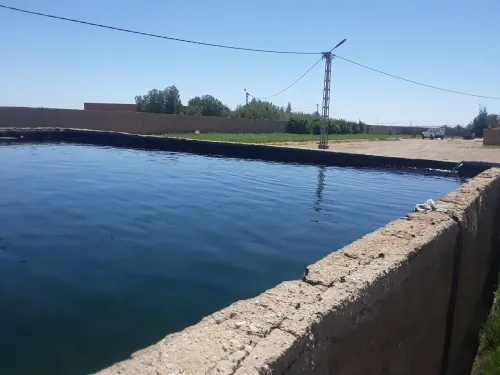 Vente Terrain M'Sila Chellal