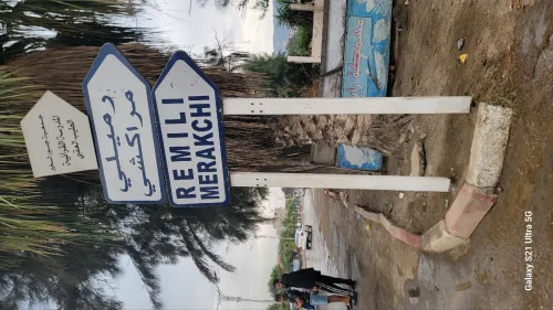 Vente Terrain Blida Ouled selama