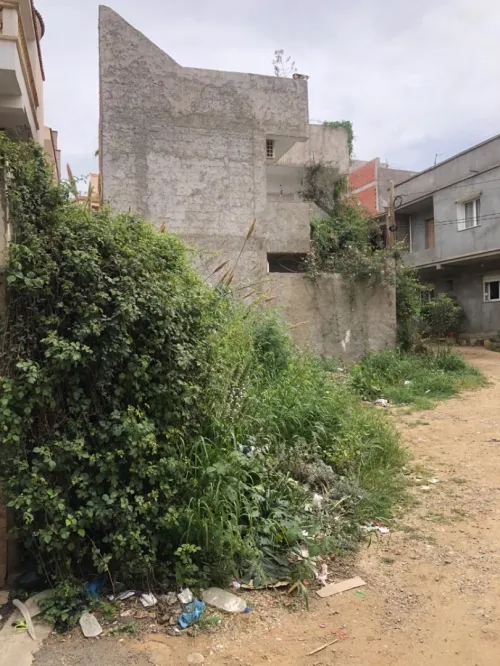 Vente Terrain Alger Douera