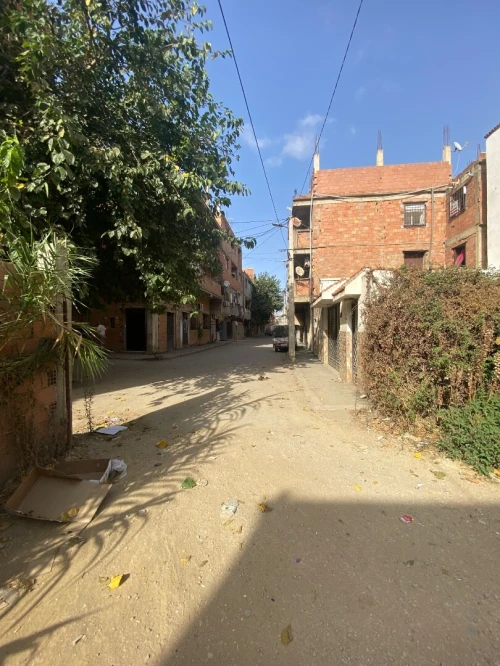 Vente Terrain Alger Douera