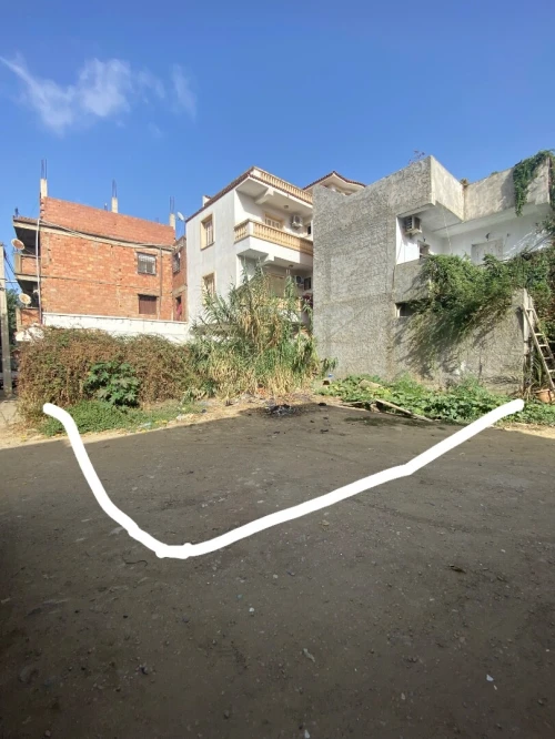 Vente Terrain Alger Douera