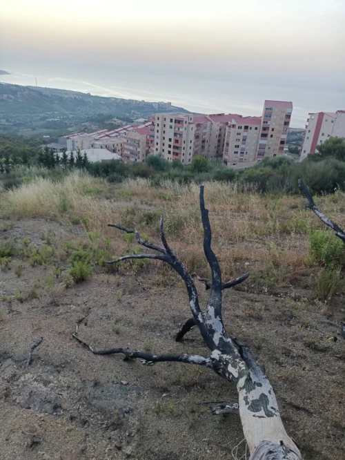 Vente Terrain Tizi Ouzou Azeffoun