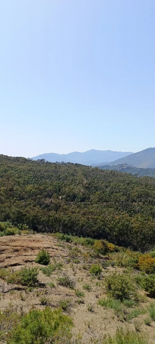 Vente Terrain Tizi Ouzou Azeffoun