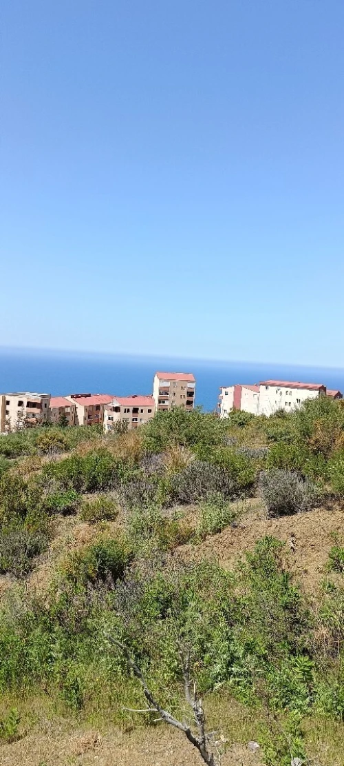 Vente Terrain Tizi Ouzou Azeffoun