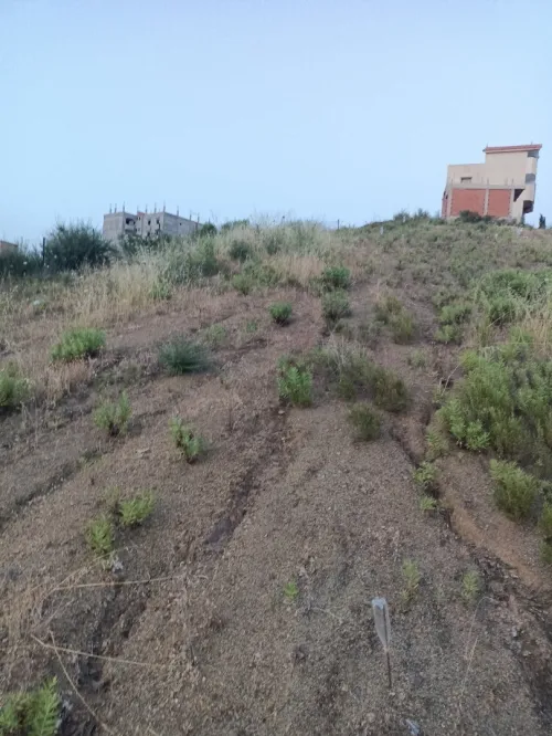 Vente Terrain Tizi Ouzou Azeffoun