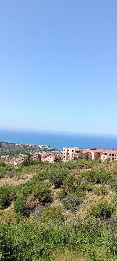 Vente Terrain Tizi Ouzou Azeffoun