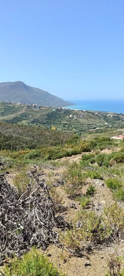 Vente Terrain Tizi Ouzou Azeffoun