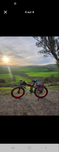 velo electrique fatbike