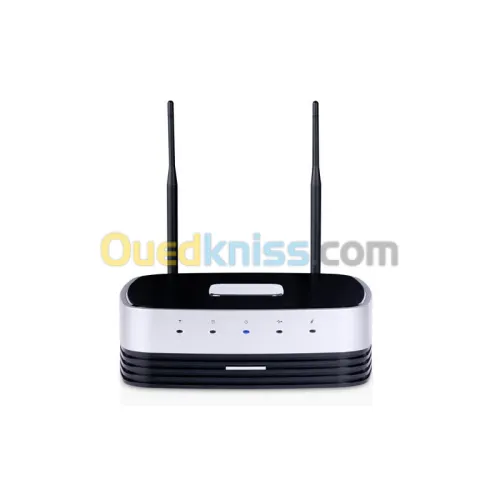 Serveur NAS Memup Q-one 1.5 To