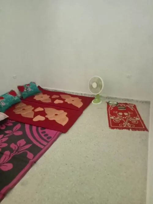 Location Appartement F3 El taref El taref