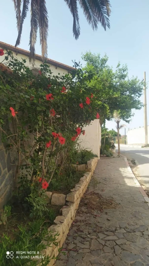 Vente Villa Alger El marsa
