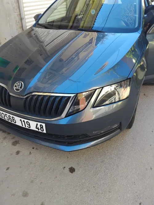 Skoda Octavia 2019 Business
