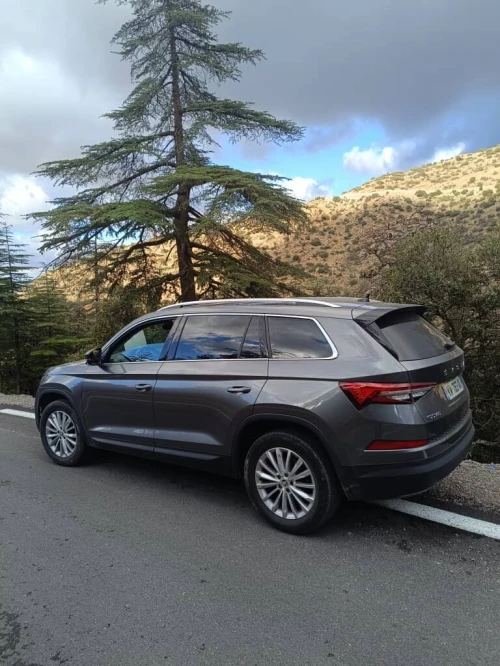Skoda Kodiaq 2024 