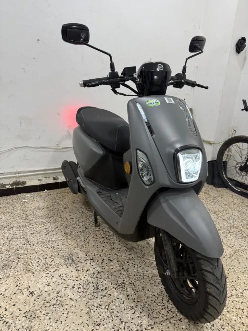 Vms Cuxi 2025