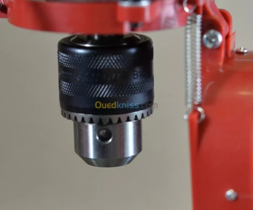 Perceuse À Table 350W 13Mm WORCRAFT DP03-13