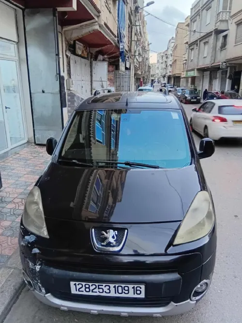 Peugeot Partner 2009 Tepee