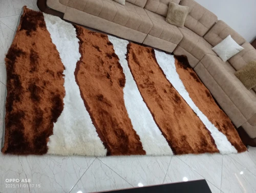 tapis salon